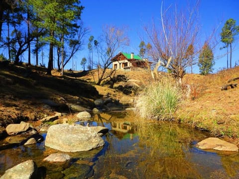 Property building, Spring, Natural landscape, River view