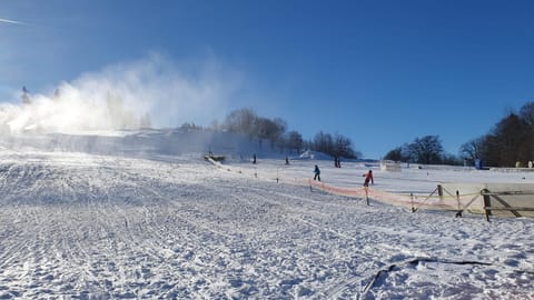 Skiing, Skiing, Area and facilities, Sports