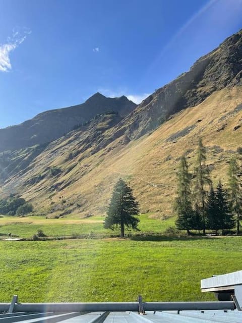 T2 5 p Champagny-le-Haut Apartment in Peisey-Nancroix