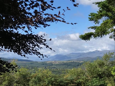 Rowantree Vacation rental in Scotland