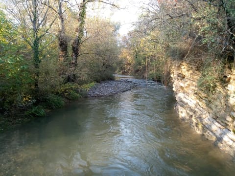 Maison sud Ardèche lavilledieu House in Provence-Alpes-Côte d'Azur