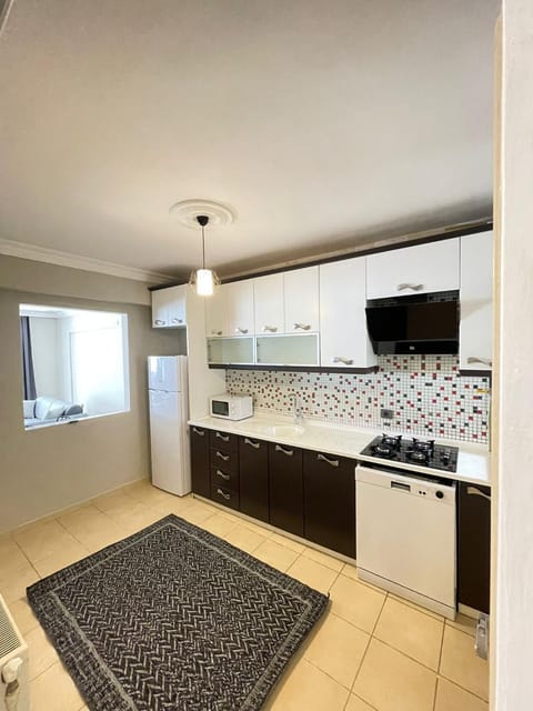 Kitchen or kitchenette, dishwasher, oven, stove