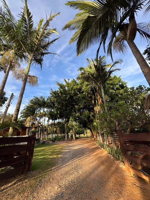 Facade/entrance, Natural landscape, Garden