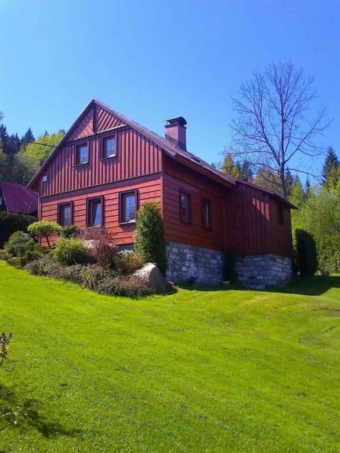 Property building, Summer, Garden