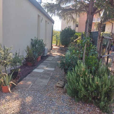 Patio, Garden, Balcony/Terrace