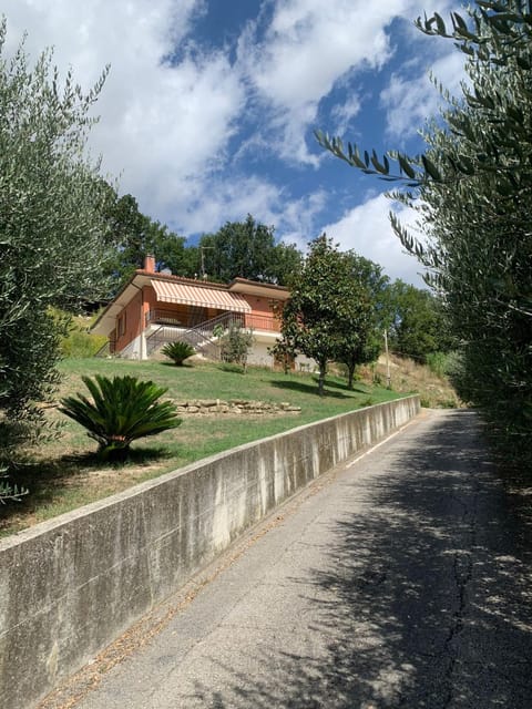 Property building, Garden view