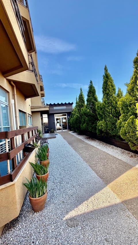 Garden view