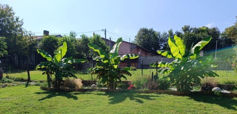 Garden, Garden view