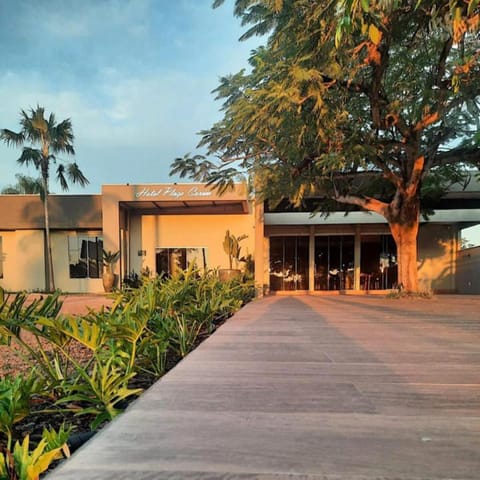 Property building, Spring, Day, Garden, Garden view