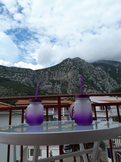 Apartments Vitic Apartment in Montenegro