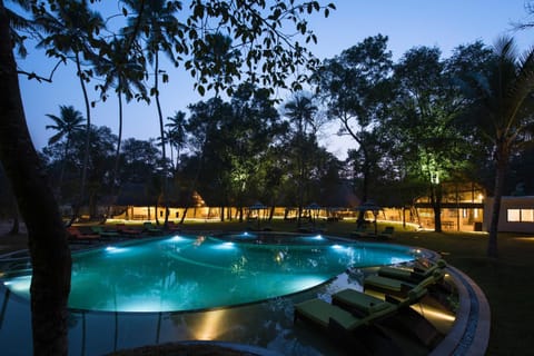Night, Natural landscape, Swimming pool, Swimming pool