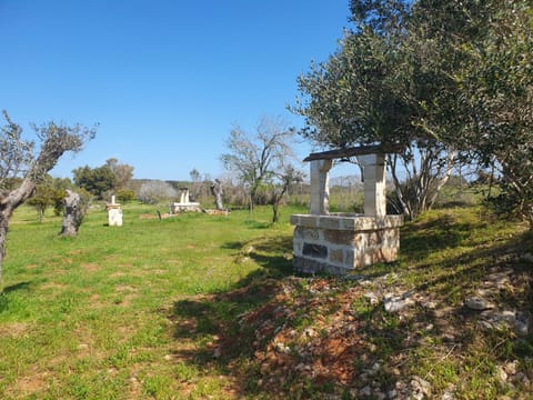 Spring, Day, Natural landscape, Garden, Garden view