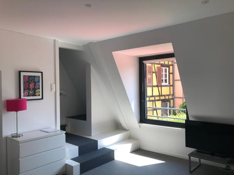 Les Appartements du Renard Apartment in Strasbourg