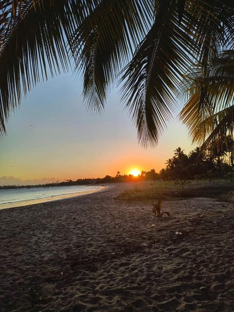 Beach, Sunset
