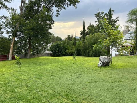 Natural landscape, Garden, Garden view