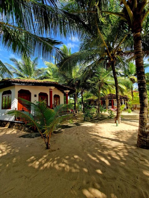 Property building, Natural landscape, Garden, Garden, Garden view