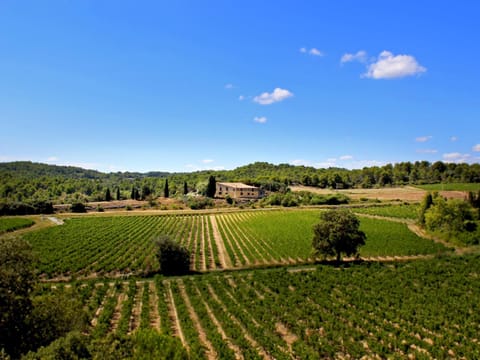 Neighbourhood, Natural landscape, Bird's eye view, Hiking, Garden view