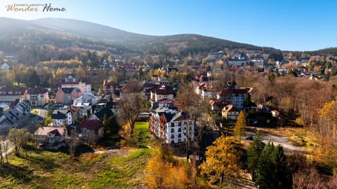 Bird's eye view, View (from property/room), Garden view