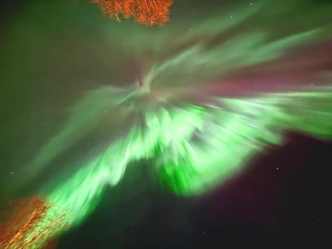 Arctic log house Hirvas Chalet in Rovaniemi