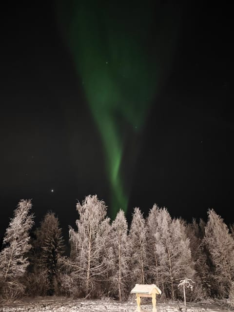 Arctic log house Hirvas Chalet in Rovaniemi