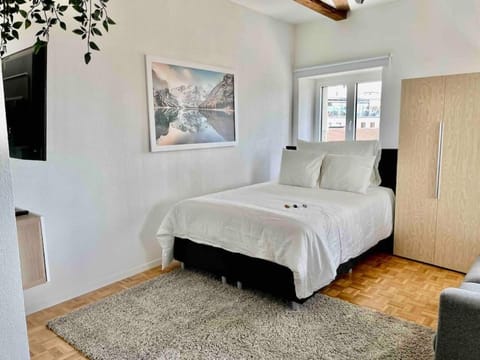 Cosy attic flat Lausanne center Apartment in Lausanne