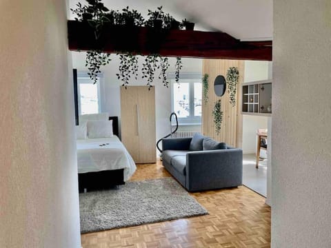 Cosy attic flat Lausanne center Apartment in Lausanne