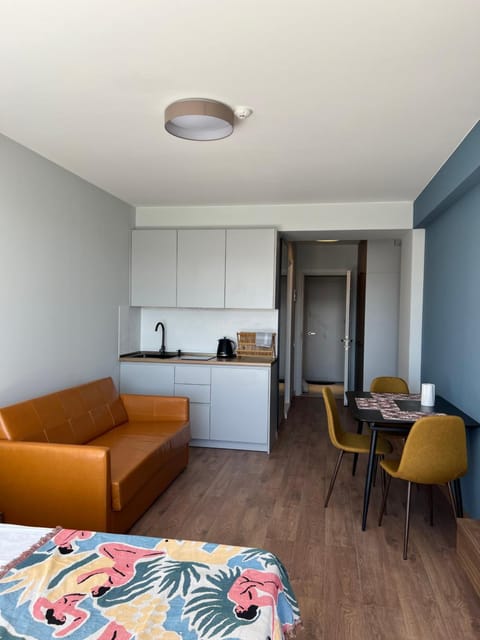 Kitchen or kitchenette, Living room, Seating area, Dining area, Bedroom