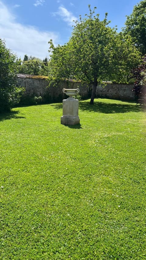 Day, Garden, Garden view