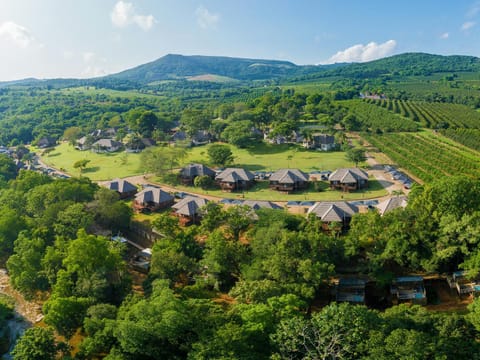 Natural landscape, Bird's eye view