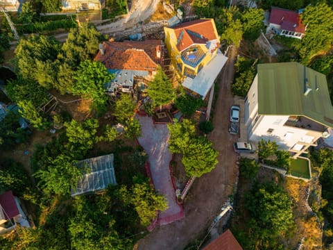 Property building, Natural landscape, Street view, Location, Parking