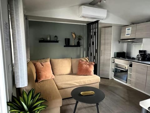 Kitchen or kitchenette, Living room, Seating area, stove