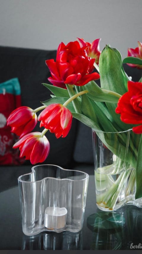 Mikos Apartment in Stade