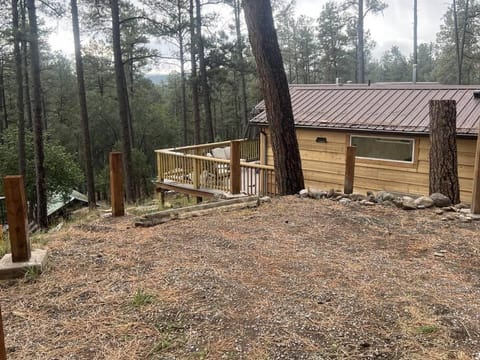 Tiny Cozy Cabin in Historic Upper Canyon Cabin in Ruidoso
