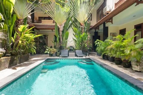 Garden view, Pool view, Swimming pool, sunbed