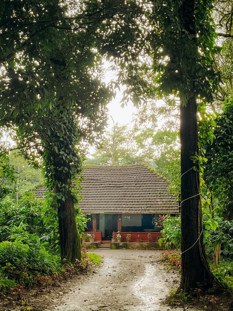 Property building, Garden view