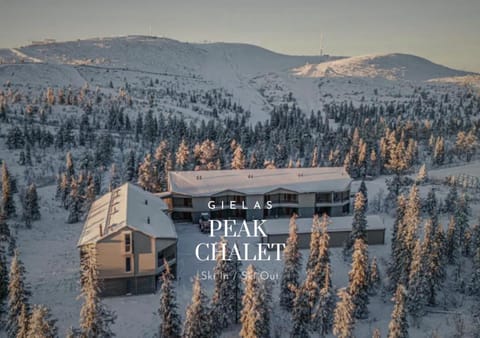 Property building, Neighbourhood, Natural landscape, Bird's eye view, Winter, Skiing, Skiing, View (from property/room)