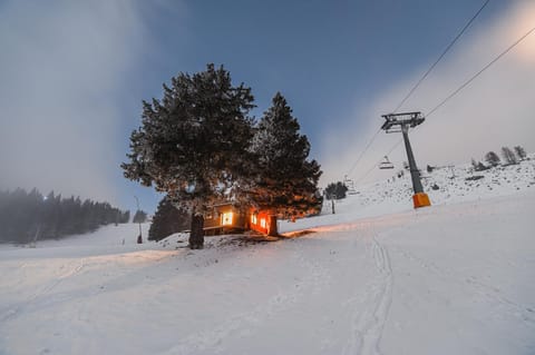 Property building, Natural landscape, Activities, Winter, Skiing, Skiing