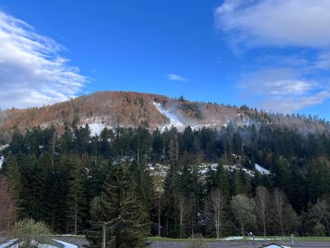 Natural landscape, Winter, Mountain view