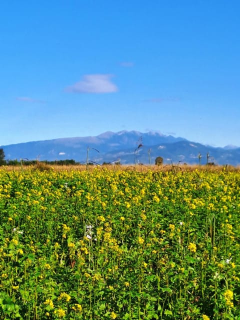 Spring, Natural landscape, Mountain view
