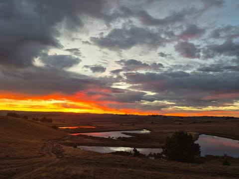 Day, Summer, Lake view, Sunrise