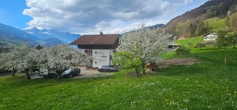 Property building, Spring, Natural landscape
