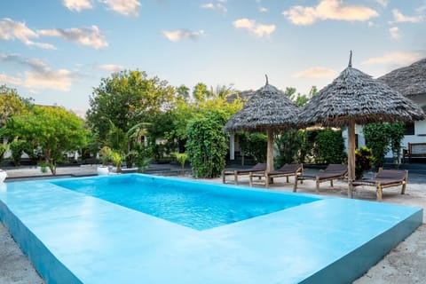 Day, Garden, Garden view, Pool view, Swimming pool, sunbed