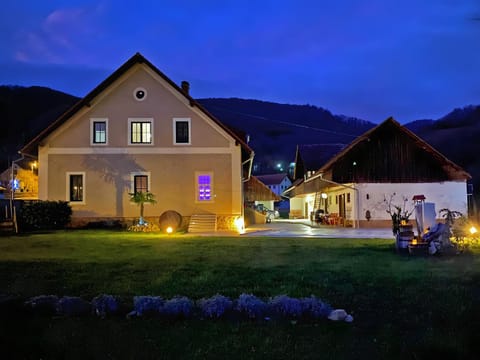 Night, Natural landscape, Garden