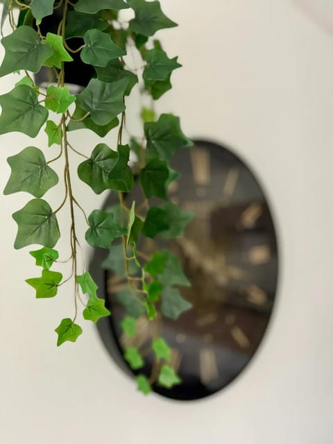 Cosy 2 - Montbéliard centre 80m2 Apartment in Montbéliard