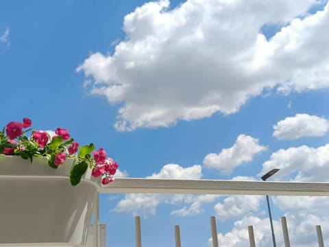 Relax Home Apartment in Province of Taranto