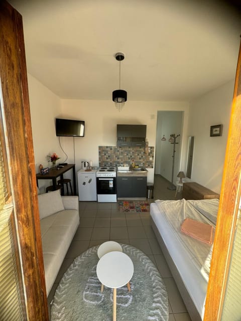 Sofi IV Apartment in Serbia