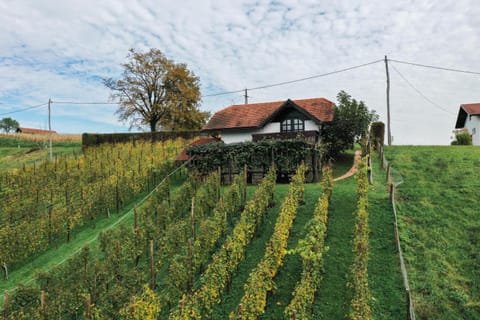 Property building, Natural landscape