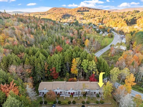 Neighbourhood, Natural landscape, Bird's eye view