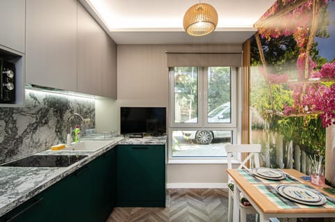Kitchen or kitchenette, stove