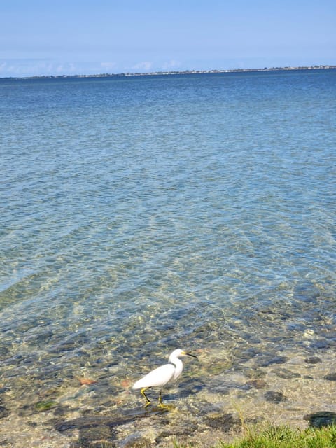 casa na praia do gavião araruama House in Araruama